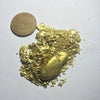 $5,000 GOLD NUGGET CHASE - GOLD PAYDIRT