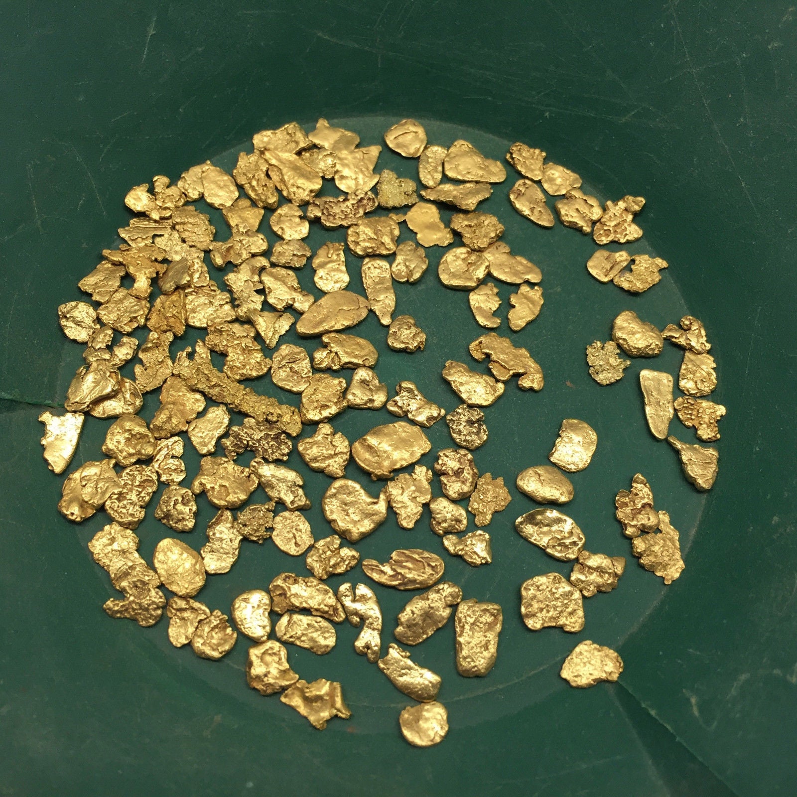 SPECIMEN NUGGET CHASE - GOLD PAYDIRT