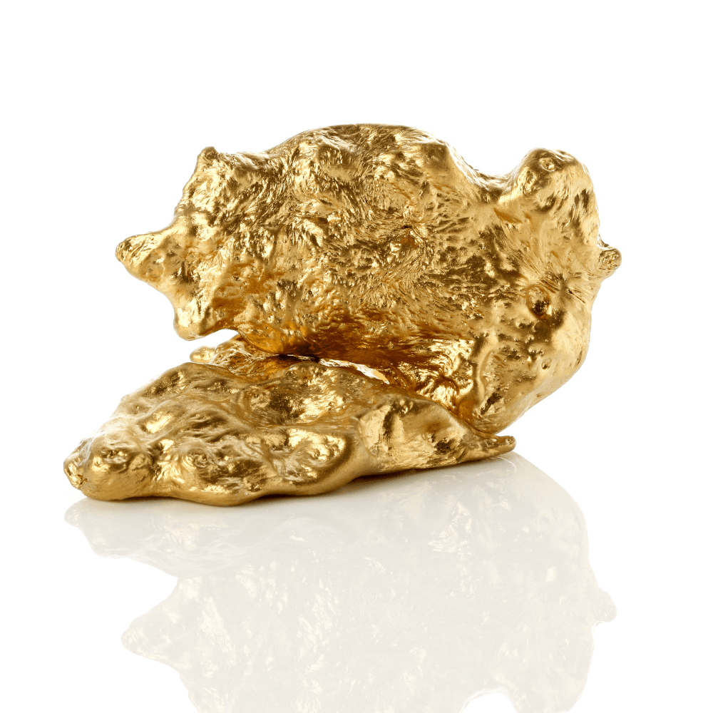 GOLD NUGGET EXPLORER - GOLD PAYDIRT