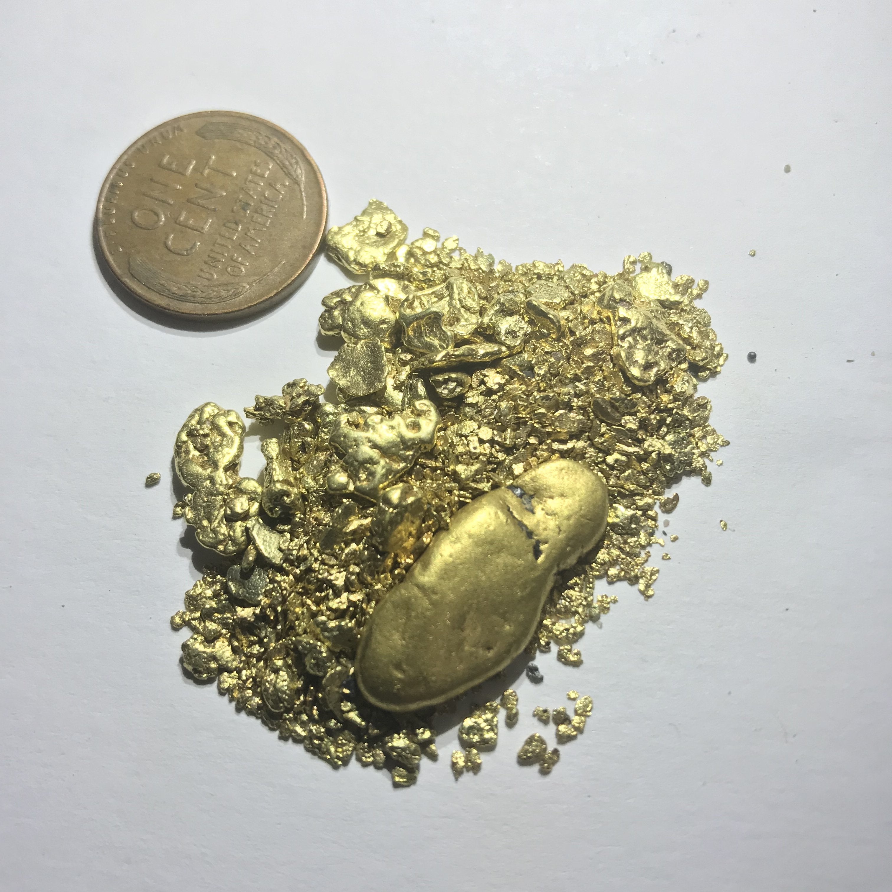 $1,000 SECRET GOLD HUNT