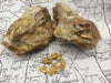 Load image into Gallery viewer, $5,000 GOLD NUGGET CHASE