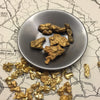 10 OUNCE NUGGET CHASE - GOLD PAYDIRT